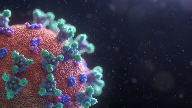 Visual of SARs-CoV-2 virus