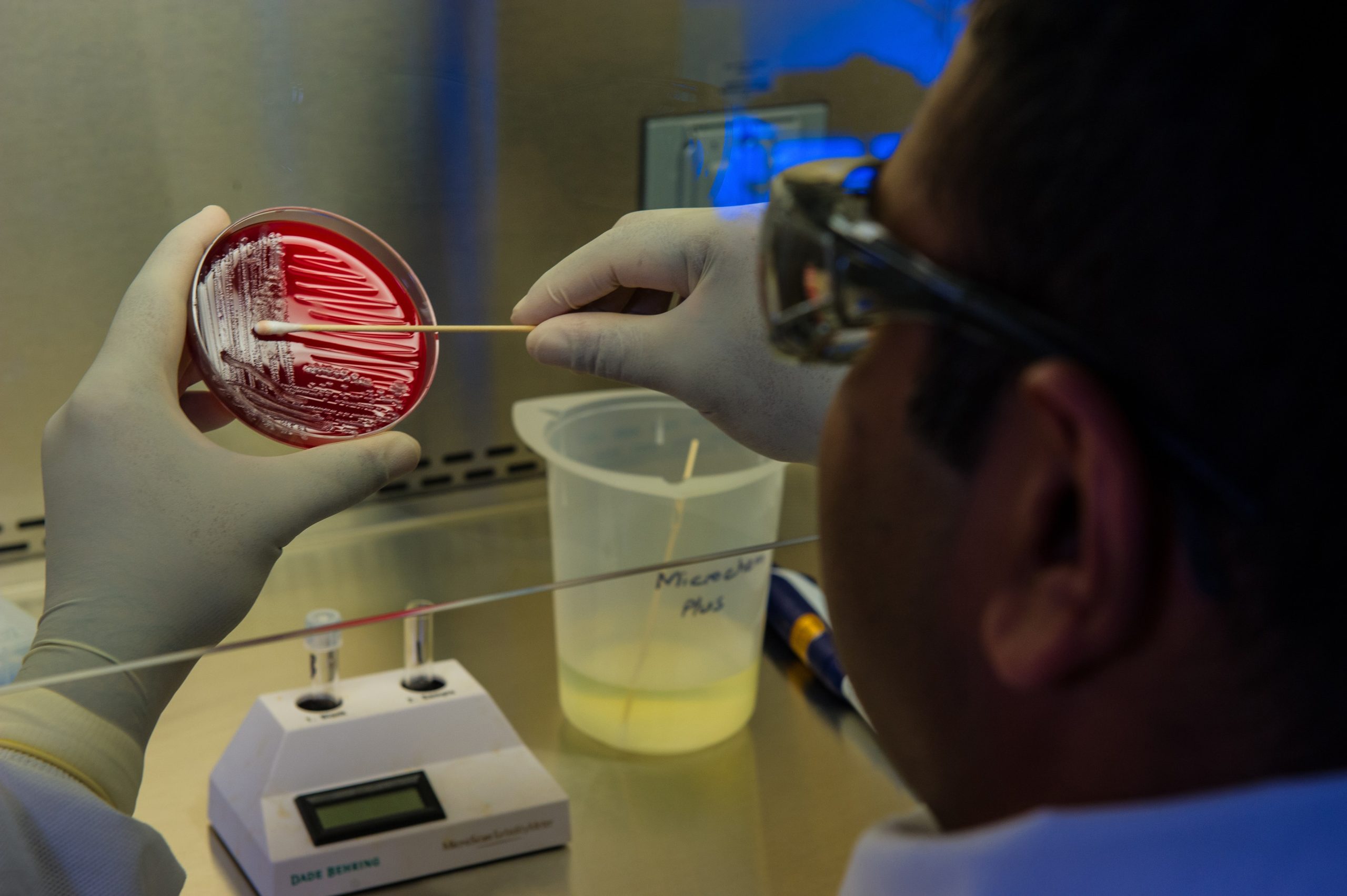 This photograph depicted an Enteric Diseases Laboratory Branch (EDLB) public health scientist, preparing foodborne bacteria for a DNA fingerprinting test.