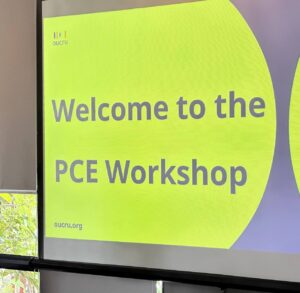 The First Designing Engagement Projects Training