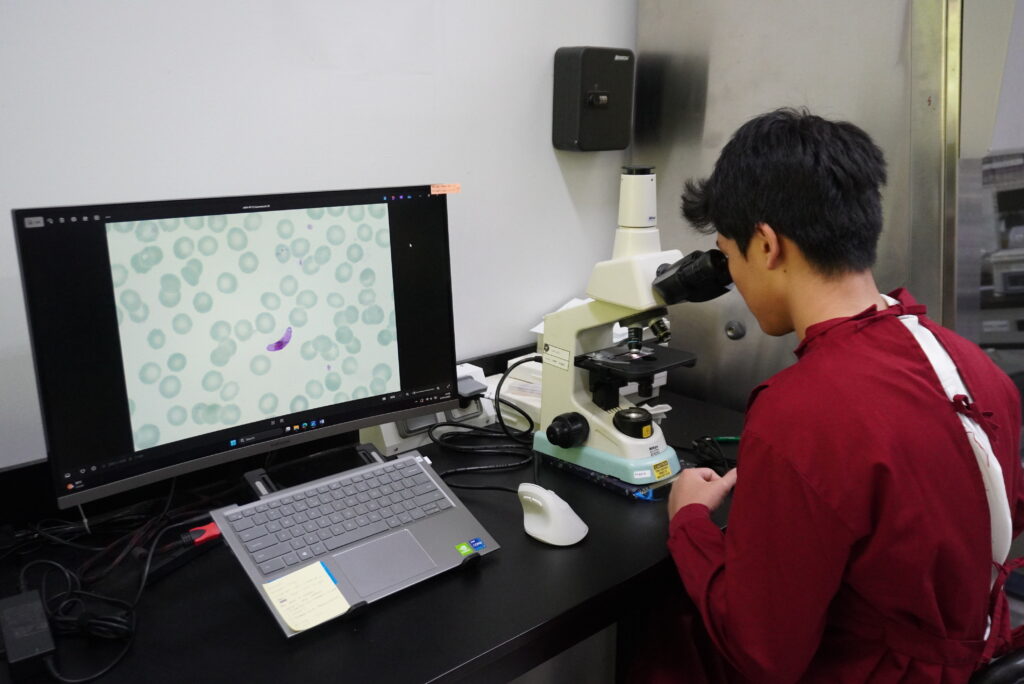 Student learning malaria 