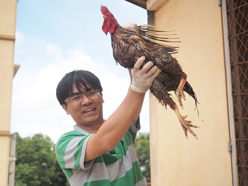 nguyenvancuong chat nkh
